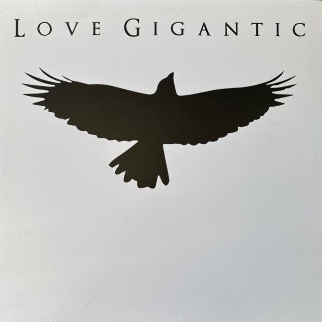 Love Gigantic by Love Gigantic