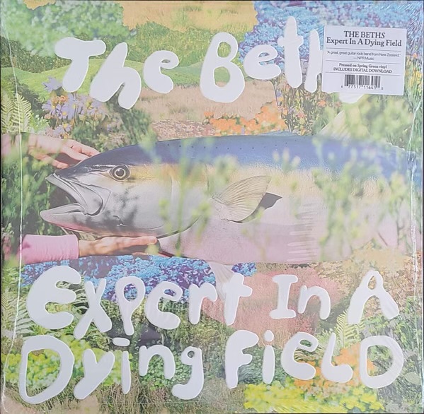 Expert In A Dying Field by The Beths